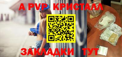 стафф Лесосибирск