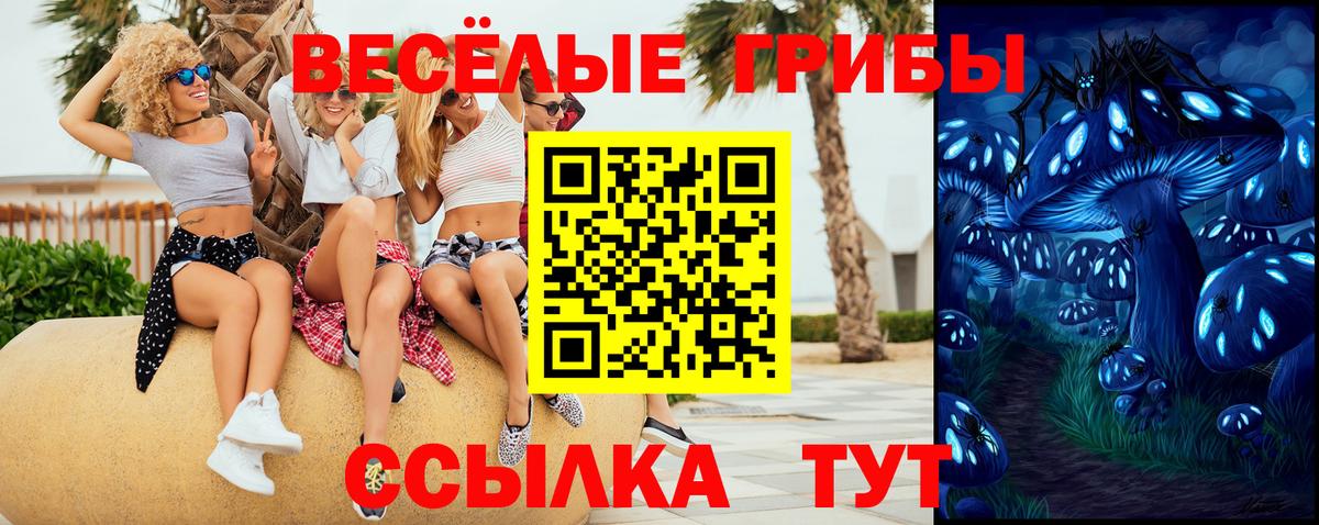 Псилоцибиновые грибы GOLDEN TEACHER  Вход с VPN  купить наркоту  Верхний Уфалей  Галлюциногенные грибы Psilocybine cubensis 